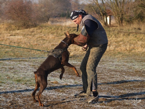 The christmas training 27.12.2006